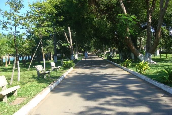 Shaded tree-lined park path with stone benches and green lawns as a single person walks in the distance