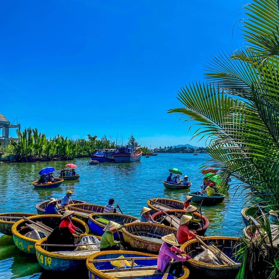 Round bamboo basket boats with rowers in conical hats clustered on a green river by coconut palms in Hoi An