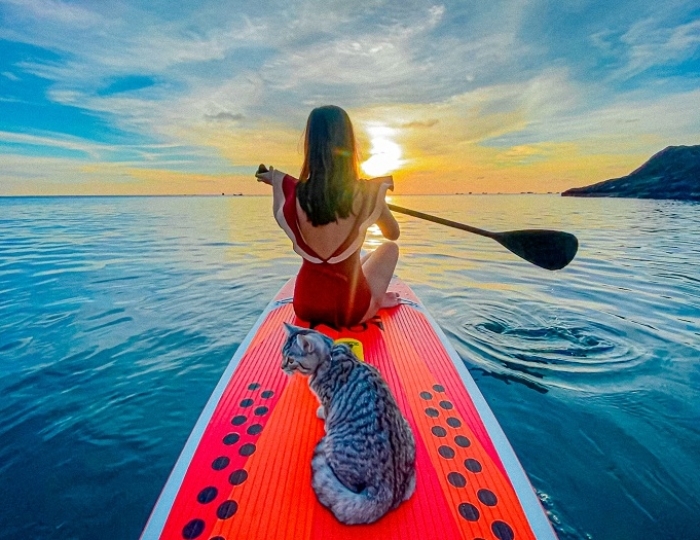 Woman in a red swimsuit paddleboarding on calm sea at sunset with a tabby cat sitting on the orange board