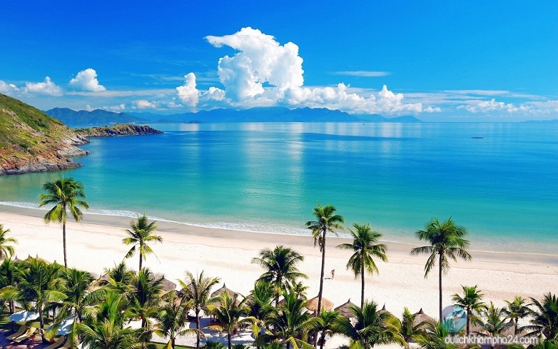 Aerial view of a curved white sand beach lined with palm trees and thatched umbrellas beside calm turquoise sea