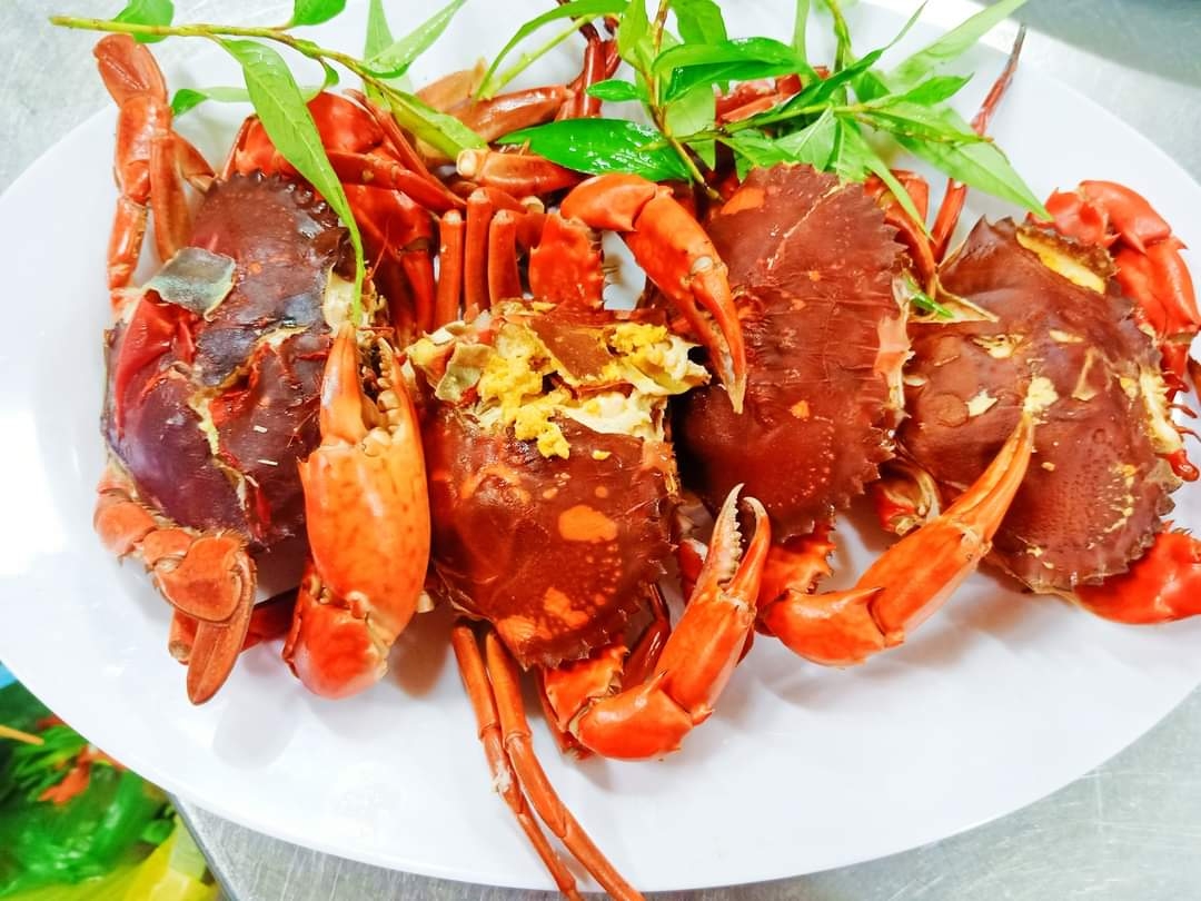Plate of steamed red crabs garnished with fresh green herbs