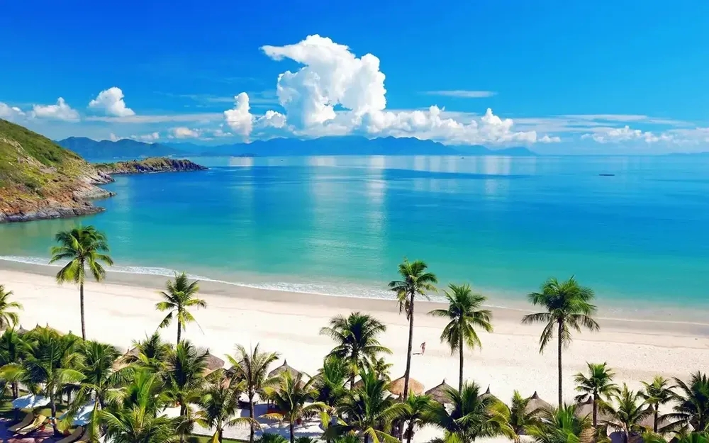 Aerial view of My Khe Beach with white sand, palm trees, turquoise water and a green headland under blue sky