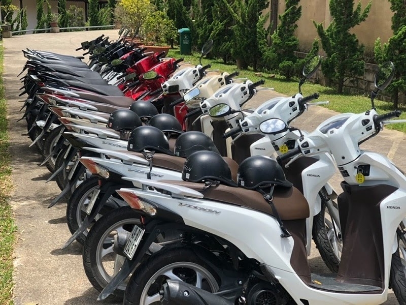 Row of Honda Vision rental scooters with black helmets resting on the seats parked beside a garden path